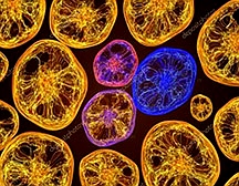 微生物實驗室建設